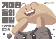 박물관에서 고인돌 친구들과 만나요