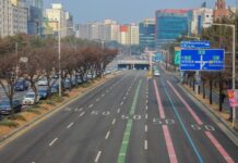 초보 운전자도 안심, 대전시 색깔 유도선 재정비