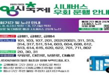 대전시‘0시 축제’기간 29개 버스노선 우회 운행