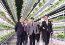 전국 최초 폐지하보도에 첨단 미래농업을 심다