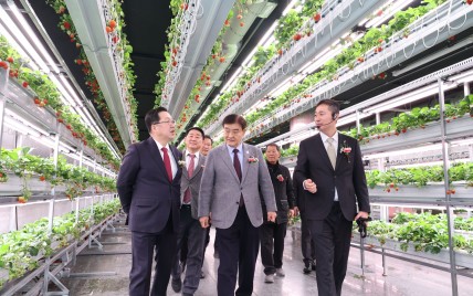 전국 최초 폐지하보도에 첨단 미래농업을 심다