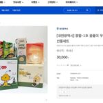 대전시, ‘꿈돌이 꾸러미’ 답례품 출시