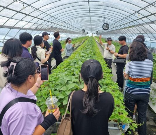 대전시농업기술센터, 청년농업인 스마트팜 현장 맞춤 교육 운영